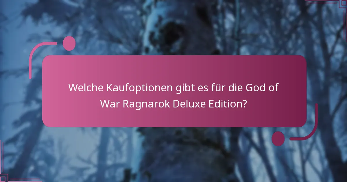 Welche Erfahrungen haben die Nutzer mit dem Upgrade der Deluxe Edition gemacht?